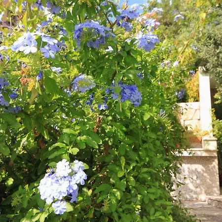 Apartment By The Sea Prizba, Korcula - 9180 Prizba