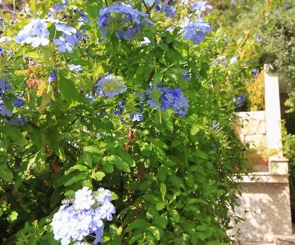 公寓 By The Sea Prizba, Korcula - 9180 普瑞兹巴