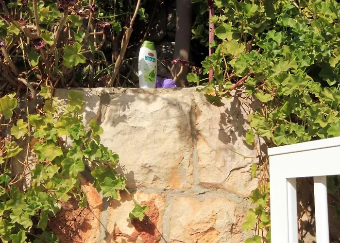 公寓 By The Sea Prizba, Korcula - 9180